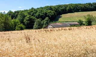 Photo N° 4