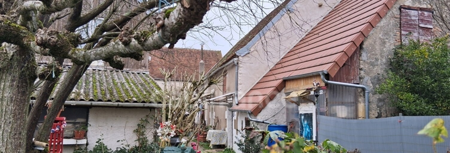 Maison 90 m² en viager Cosne-Cours-sur-Loire (58200)