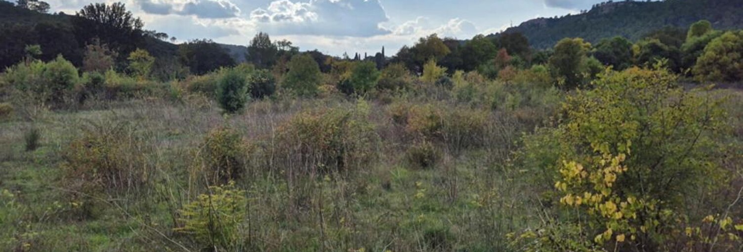 Terrain  10300 m² à vendre à Cabasse (83340)