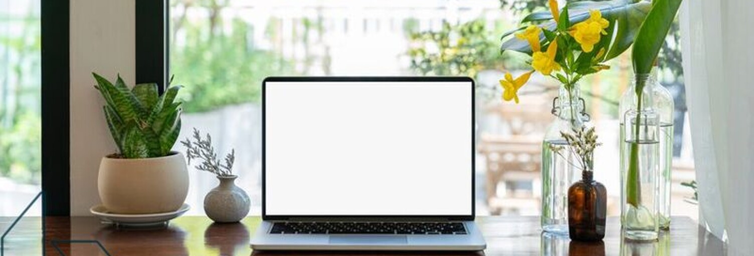 Bureau  330 m² à louer à Vannes (56000)