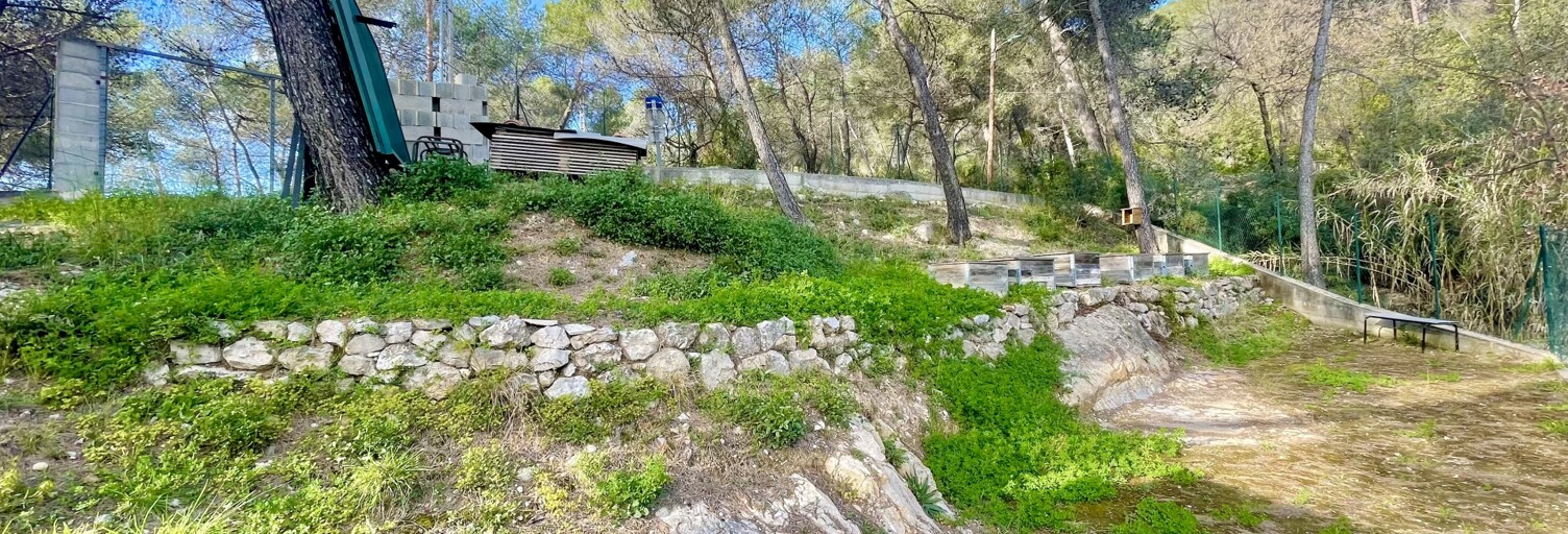 Terrain  535 m² à vendre à Blausasc (06440)