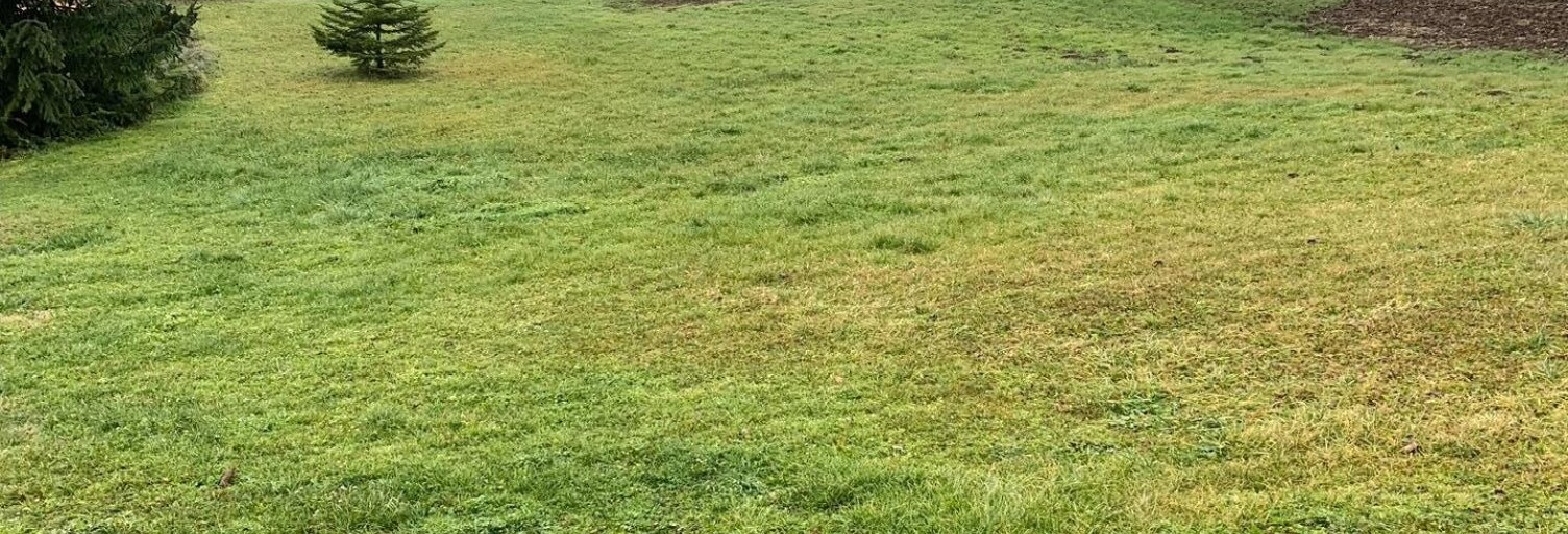 Terrain  1000 m² à vendre à Massignieu-de-Rives (01300)