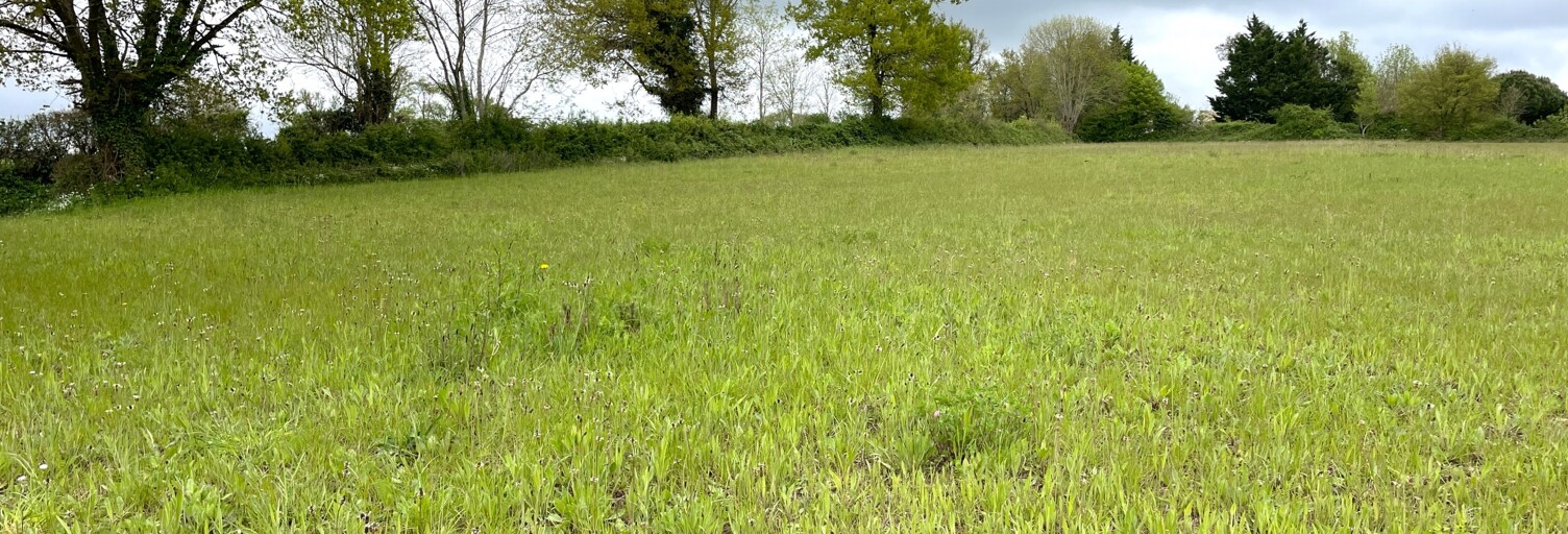 Terrain  10180 m² à vendre à Cours (79220)