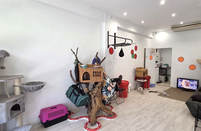 Investissement locatif murs professionnels — photo 2