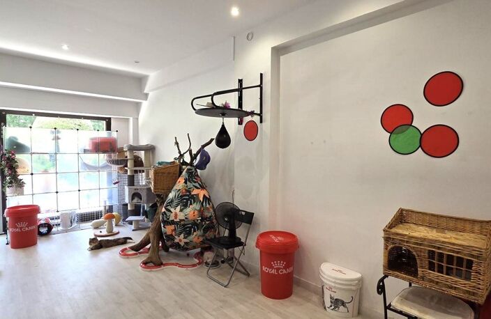 Investissement locatif murs professionnels — photo 4