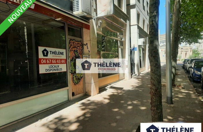 LOCAL COMMERCIAL à LOUER — photo 2