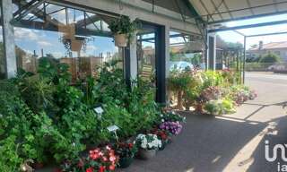 Commerce  5500 m² à vendre à Saint-Magne-de-Castillon (33350)