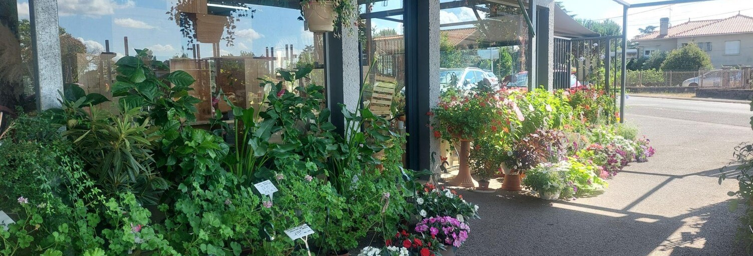 Commerce  5500 m² à vendre à Saint-Magne-de-Castillon (33350)