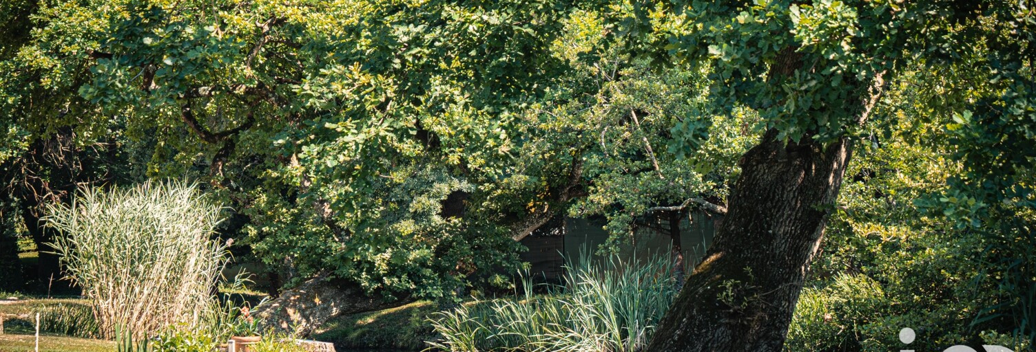 Maison 7 Pièces 203 m² à vendre à Écully (69130)