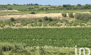 Terrain  52610 m² à vendre à Magalas (34480)