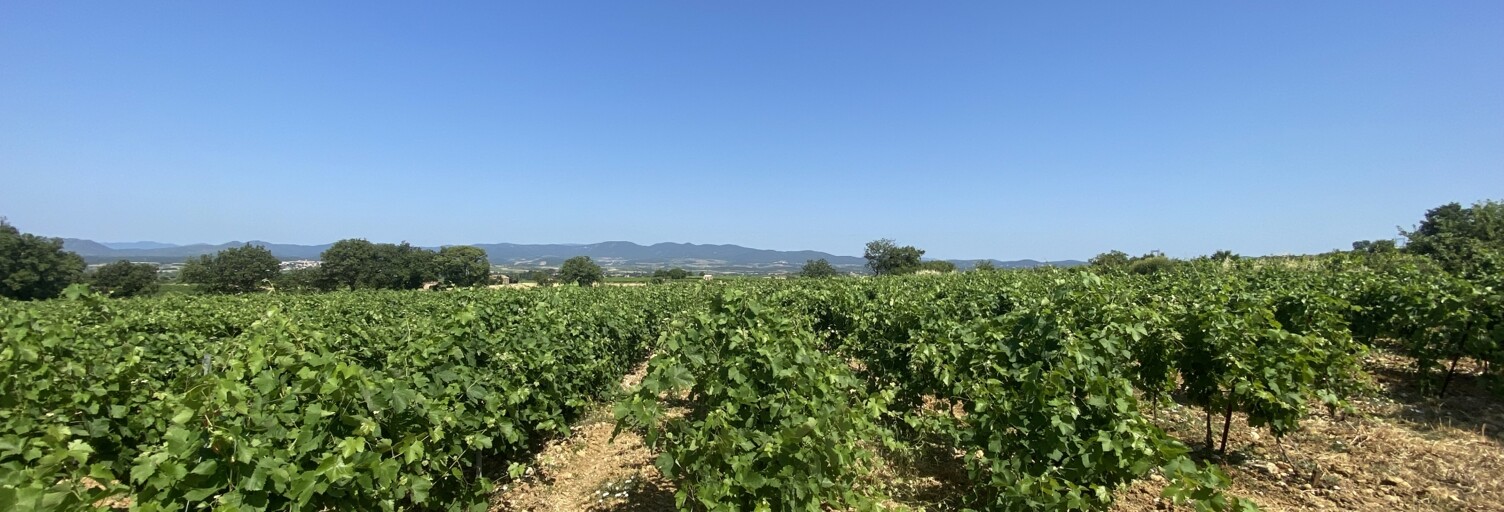 Terrain  58175 m² à vendre à Magalas (34480)