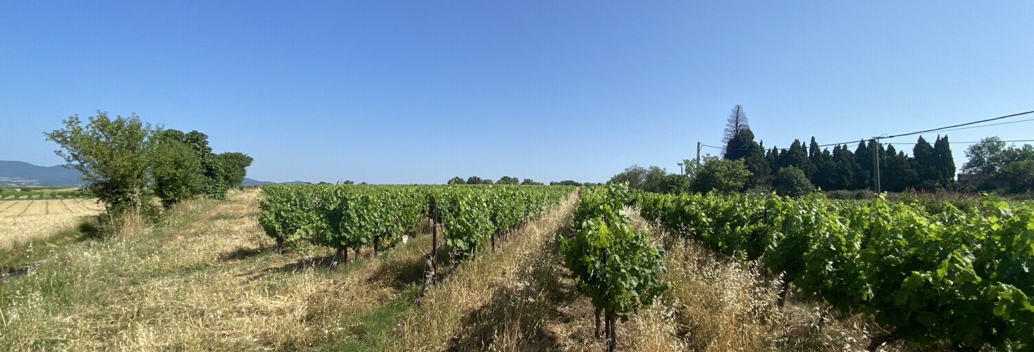 Terrain  58175 m² à vendre à Magalas (34480)