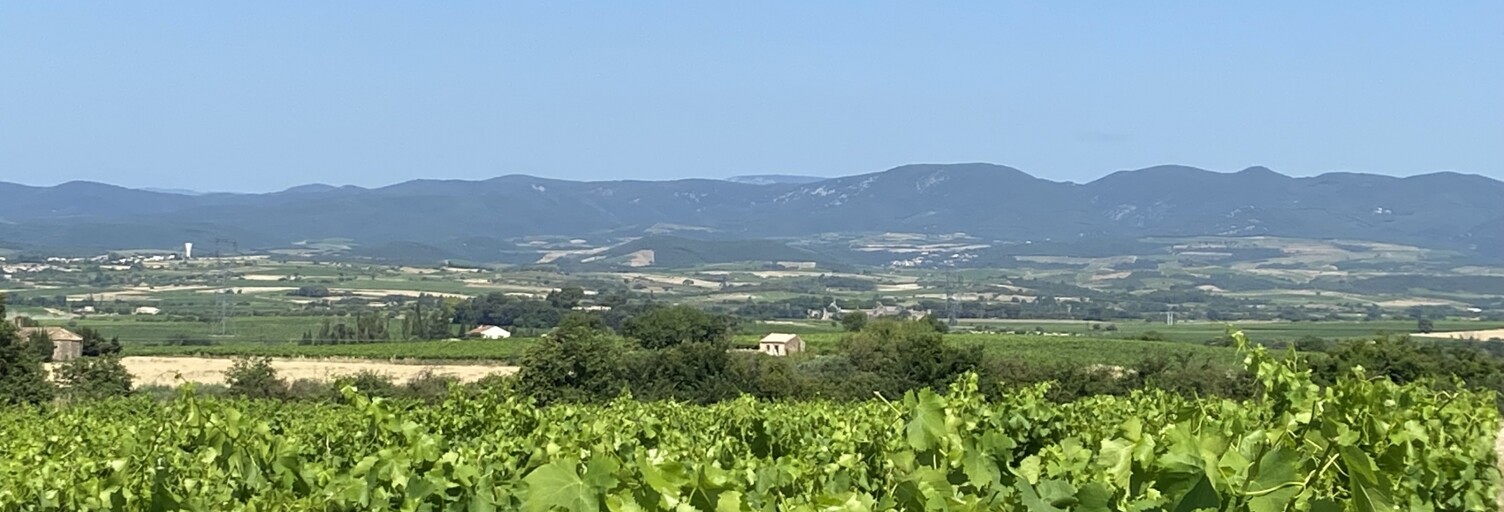 Terrain  216211 m² à vendre à Magalas (34480)