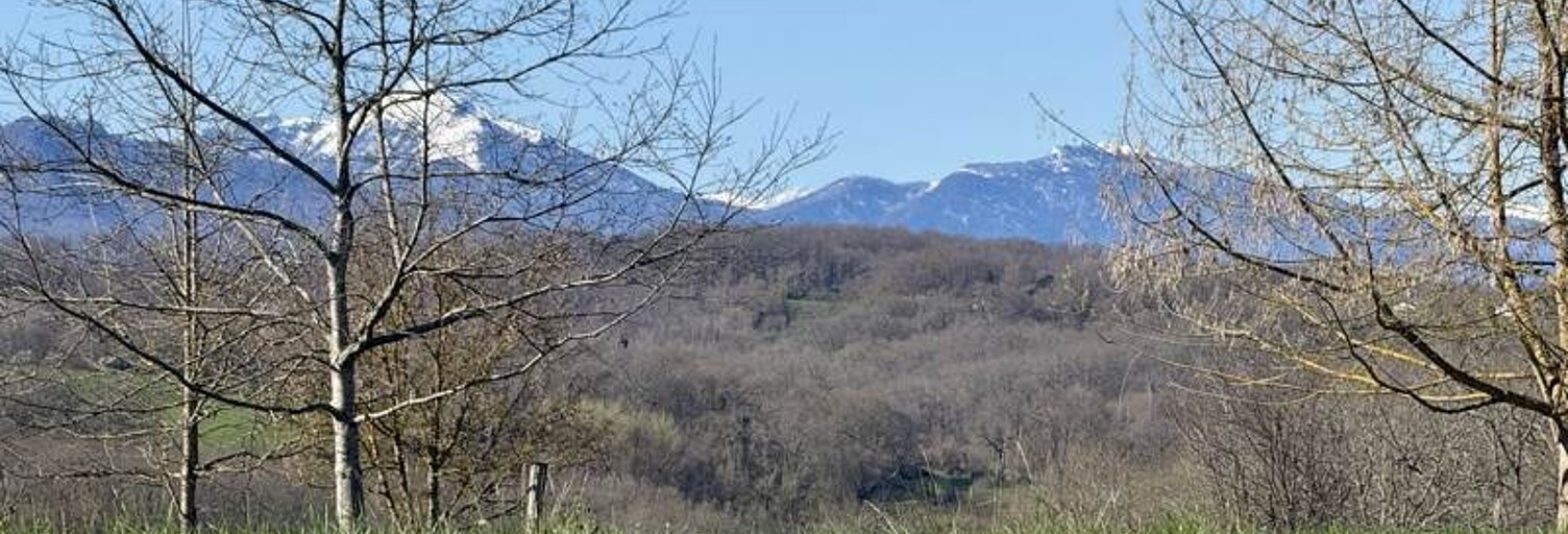 Maison 5 Pièces 104 m² à vendre à Belbèze-en-Comminges (31260)