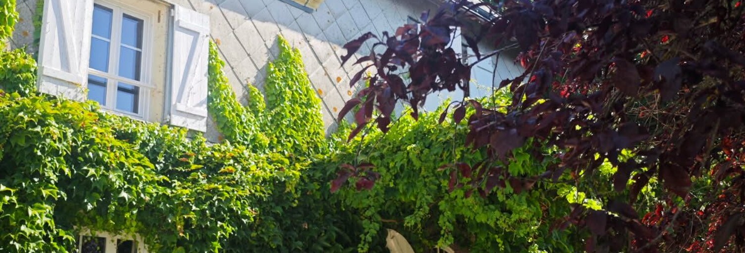 Maison 12 Pièces 329 m² à vendre à La Chartre-sur-le-Loir (72340)