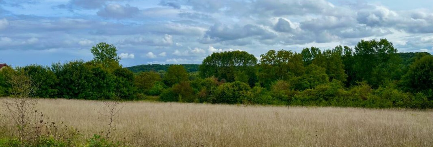 Terrain  4740 m² à vendre à Crain (89480)