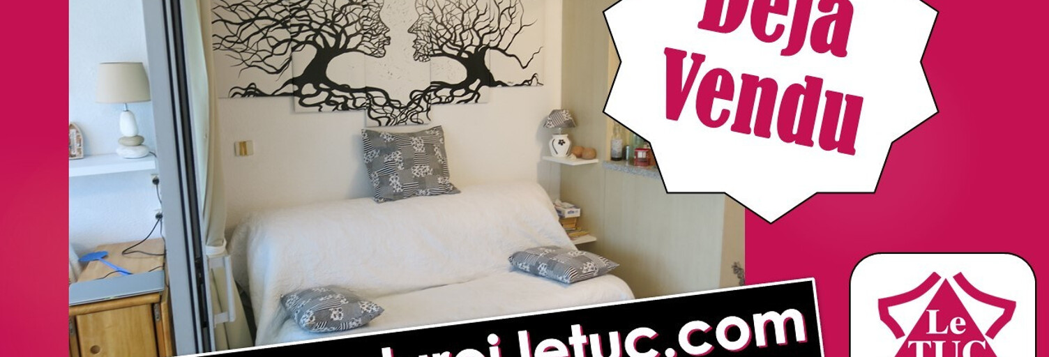 Appartement 1 Pièce 29 m² à vendre à Le Grau-du-Roi (30240)