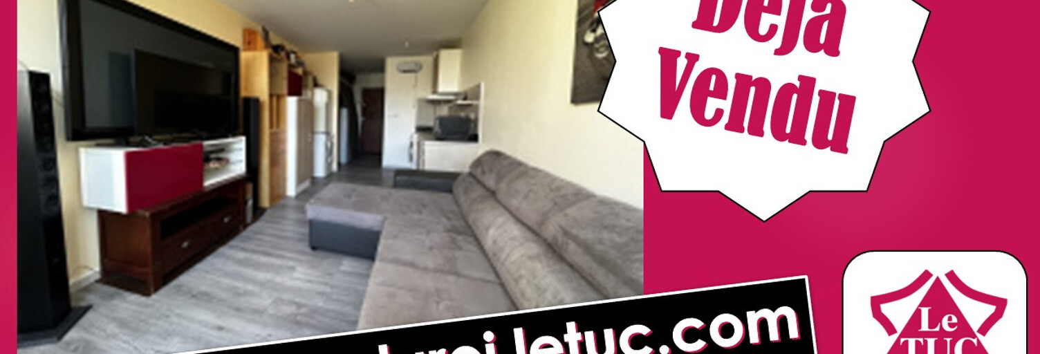 Appartement 1 Pièce 28 m² à vendre à Le Grau-du-Roi (30240)