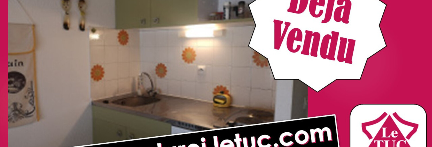 Appartement 1 Pièce 35 m² à vendre à Le Grau-du-Roi (30240)