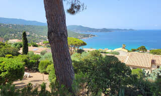 Maison 6 Pièces 140 m² à vendre à Pietrosella (20166)