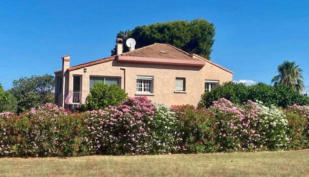 Appartement  à louer Boulou (Le) 66160