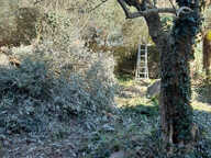 Secteur calme de Roussillon  maison mitoyenne avec terrain c — photo 3