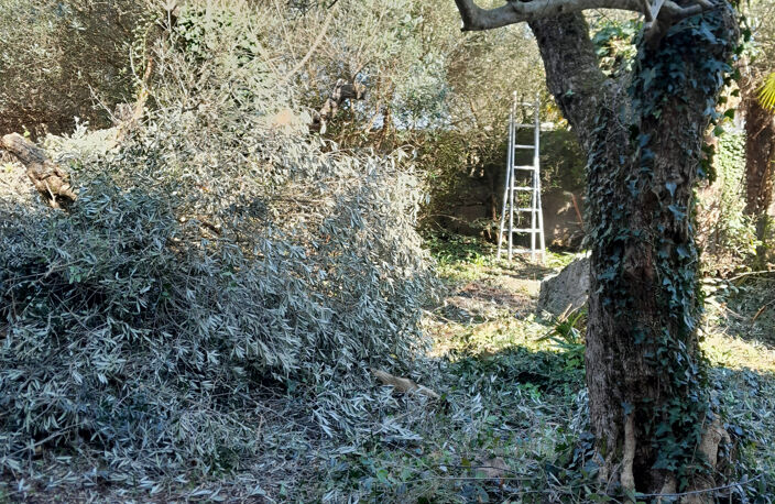 Secteur calme de Roussillon  maison mitoyenne avec terrain c — photo 3