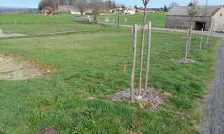 Terrain  940 m² à vendre à Roumégoux (15290)