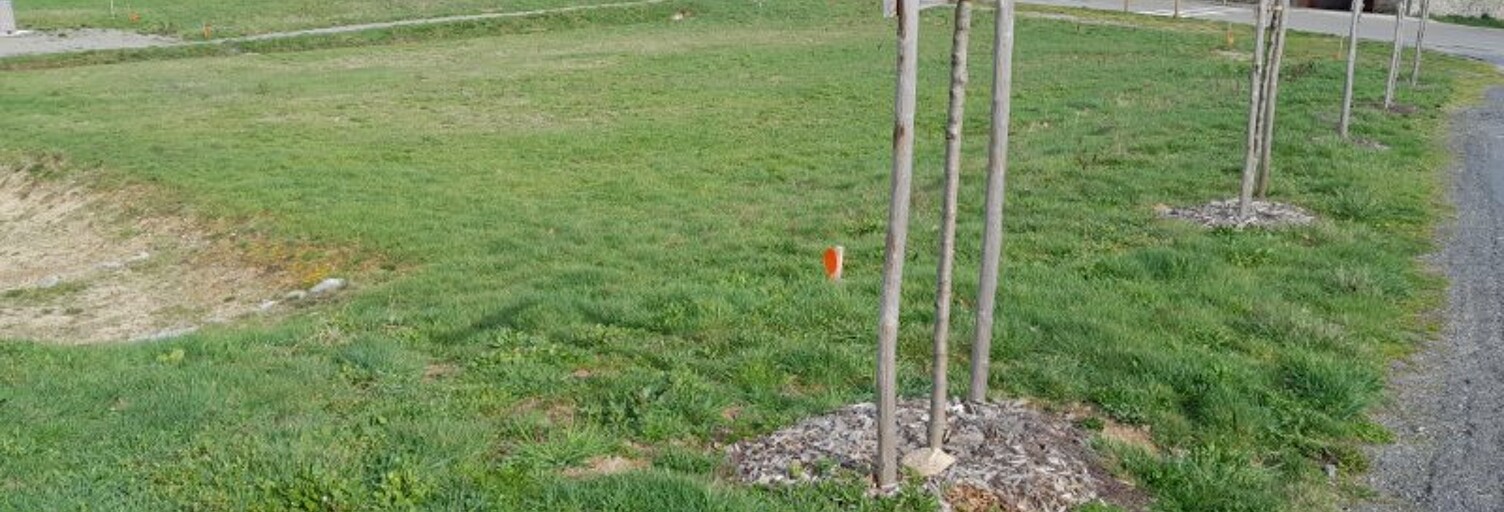 Terrain  940 m² à vendre à Roumégoux (15290)