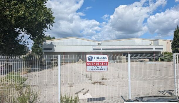 Local commercial  à louer Mauguio 34130