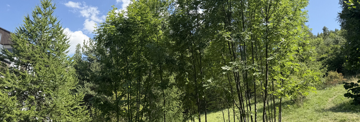 Appartement 1 Pièce 32 m² à vendre à Enchastrayes (04400)