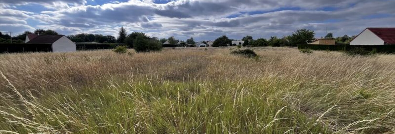 Terrain  2885 m² à vendre à Thésée (41140)