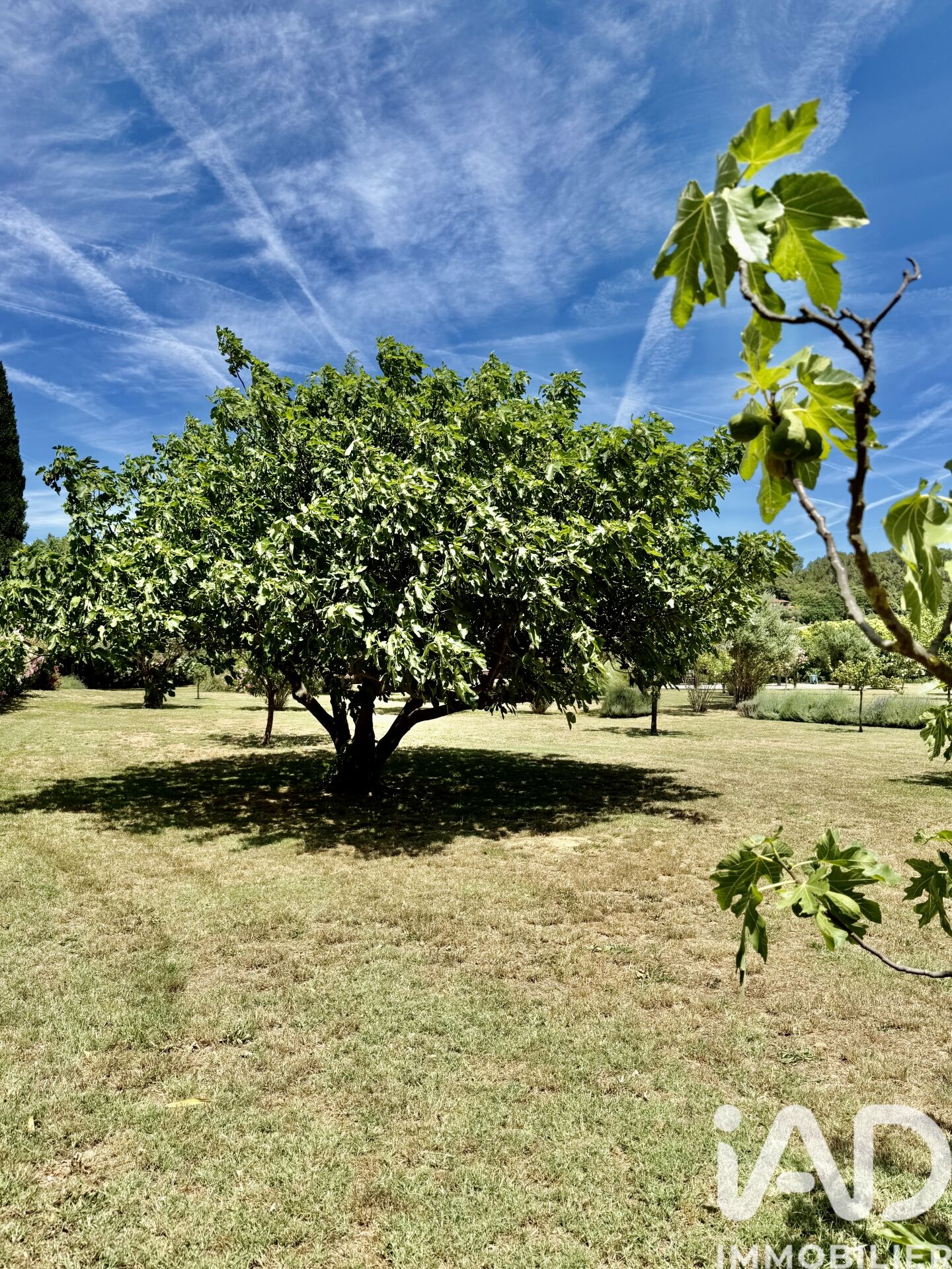 Vente Bastide 5 pièces - Photo 5