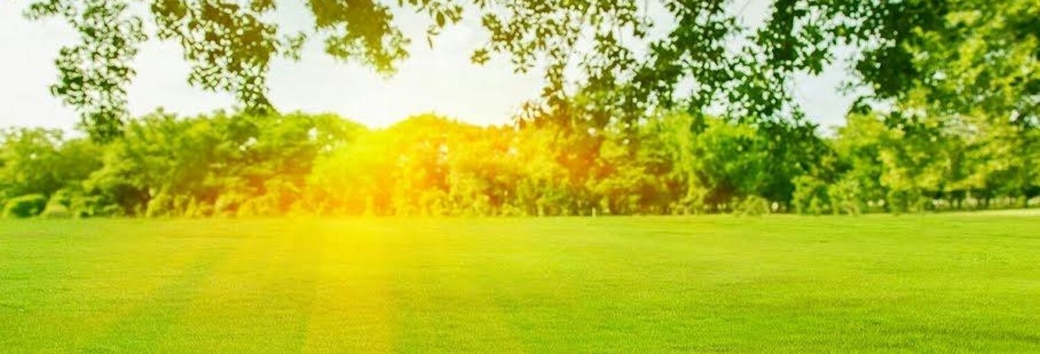 Terrain  2796 m² à vendre à Courtisols (51460)