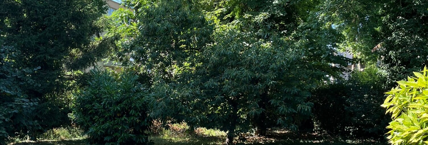 Terrain  700 m² à vendre à Draveil (91210)