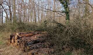 Terrain  24045 m² à vendre à Sainte-Gemme (36500)