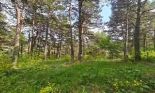 Terrain  2578 m² à vendre à Andon (06750)