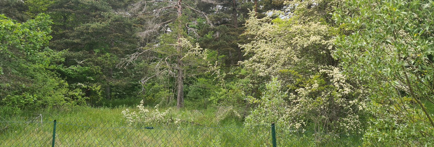 Terrain  1896 m² à vendre à Andon (06750)