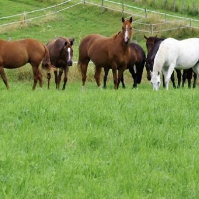 Maison 4 pièces 64900 €