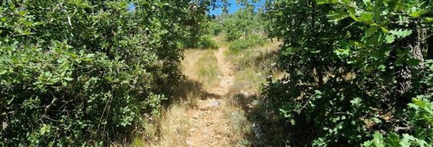 Terrain  44320 m² à vendre à La Verdière (83560)