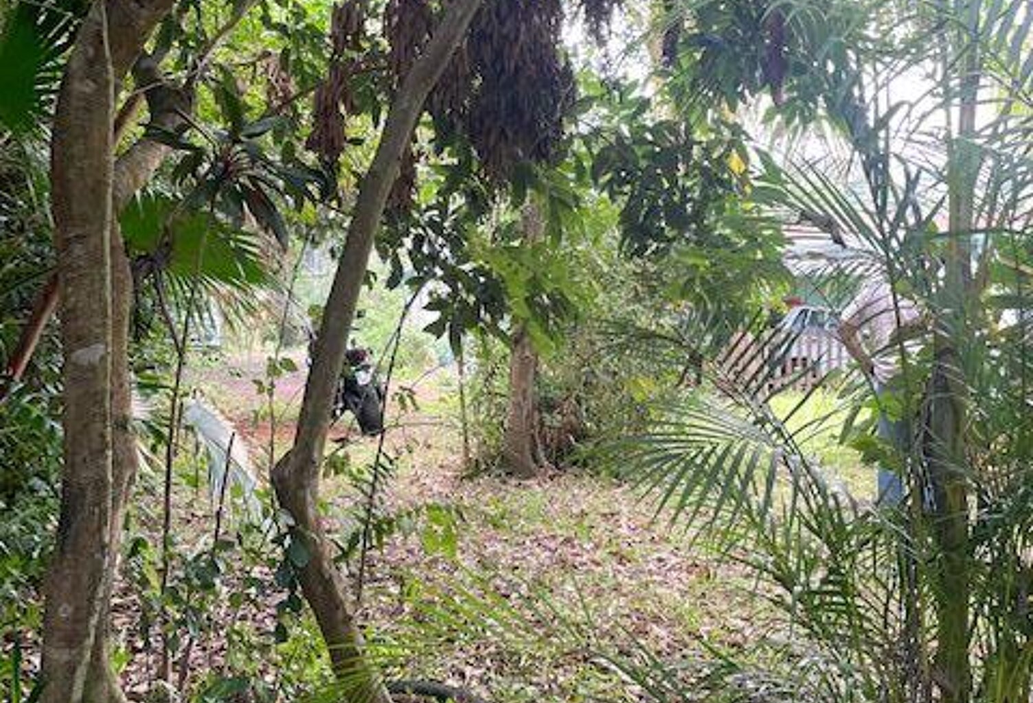 ORPI LA MONTAGNE - Terrain À Vendre 2 000 m² — photo 1