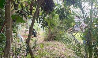 Terrain  2000 m² à vendre à Saint-Denis (97417)