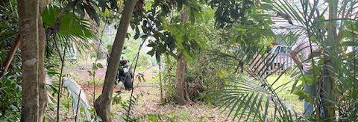 Terrain  2000 m² à vendre à Saint-Denis (97417)