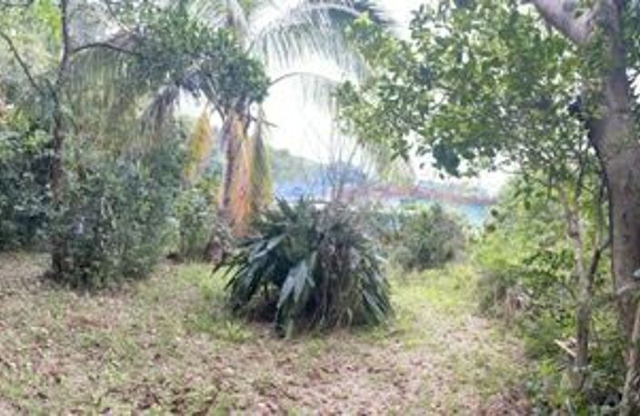 ORPI LA MONTAGNE - Terrain À Vendre 2 000 m² — photo 2