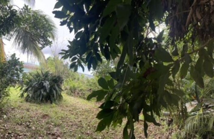 ORPI LA MONTAGNE - Terrain À Vendre 2 000 m² — photo 3