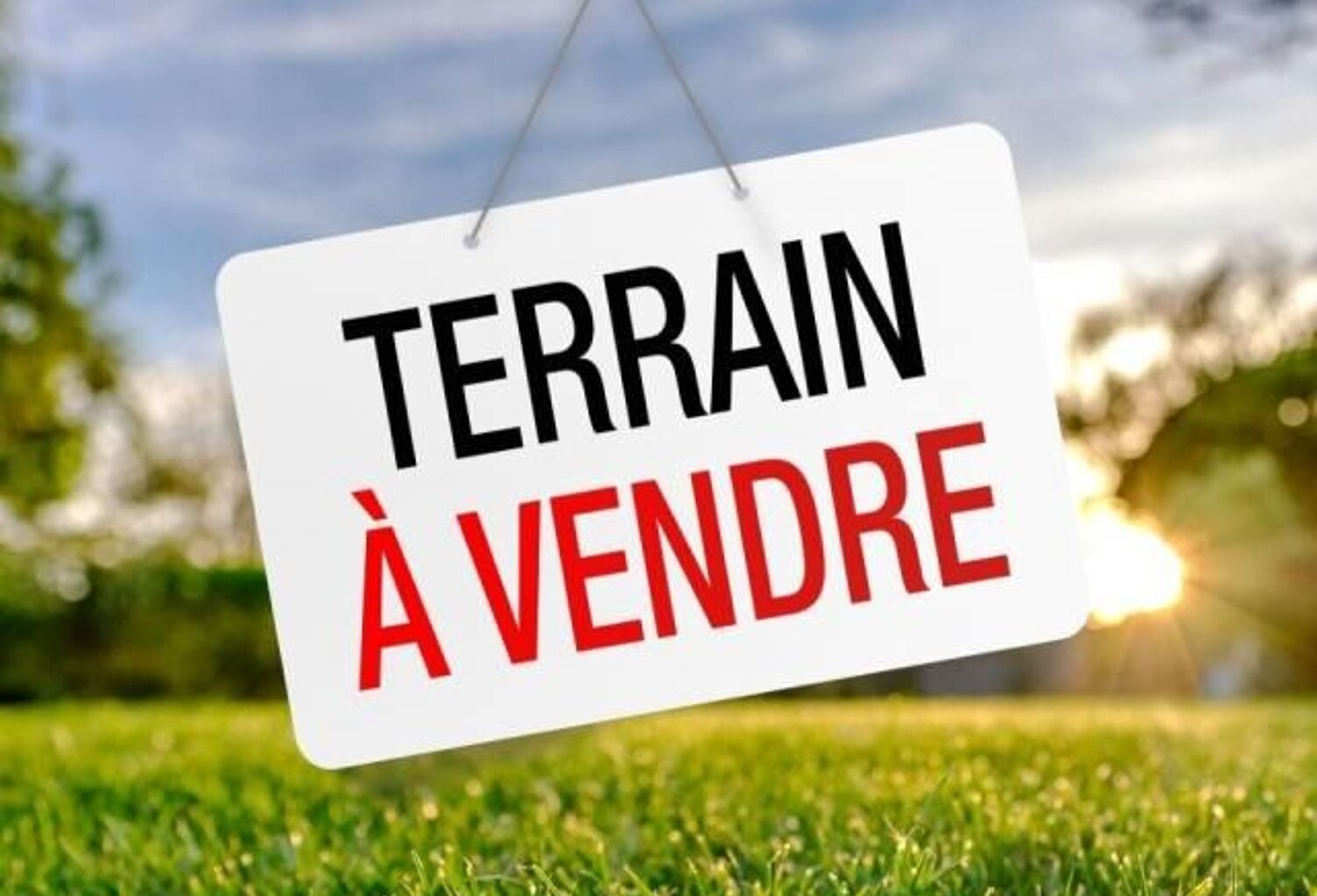🏡 À VENDRE – Terrain à bâtir arboré de 1 614 m² – 2e Plan – Proche Orléans — photo 1