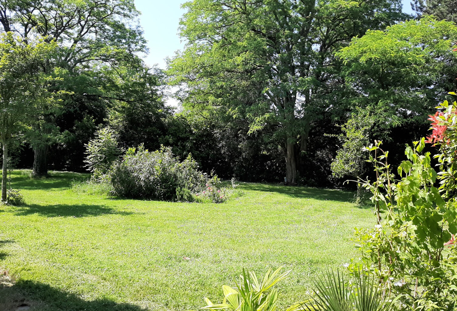 Vente terrain   Labarthe-sur-Lèze (31860) — photo 1