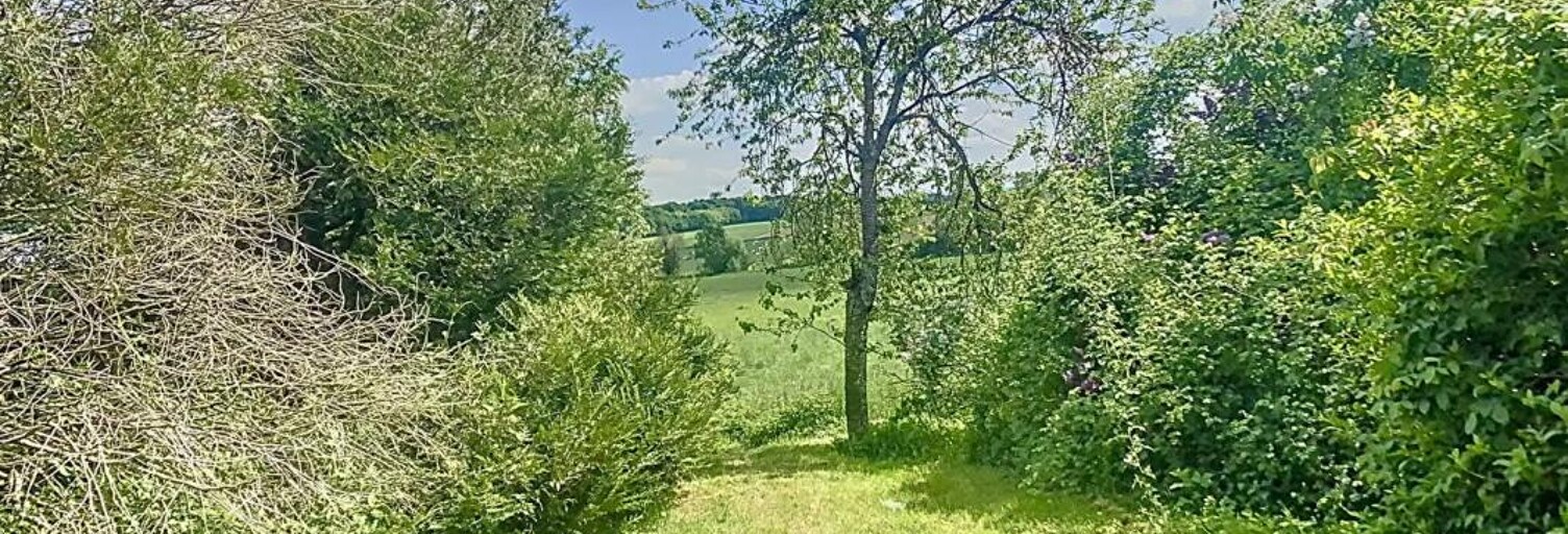 Maison 7 Pièces 210 m² à vendre à Ancerviller (54450)