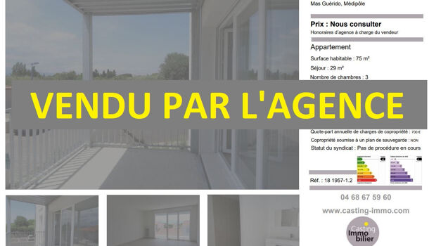 Appartement 4 pièces  à vendre Cabestany 66330