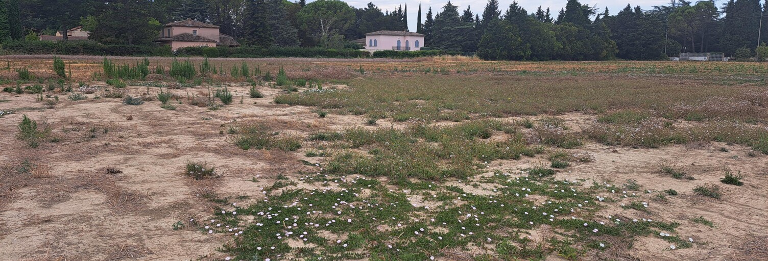 Terrain 730 m² à construire Orange (84100)